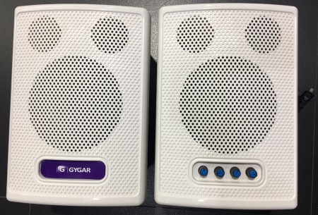 GYGAR Smart speaker GM300S